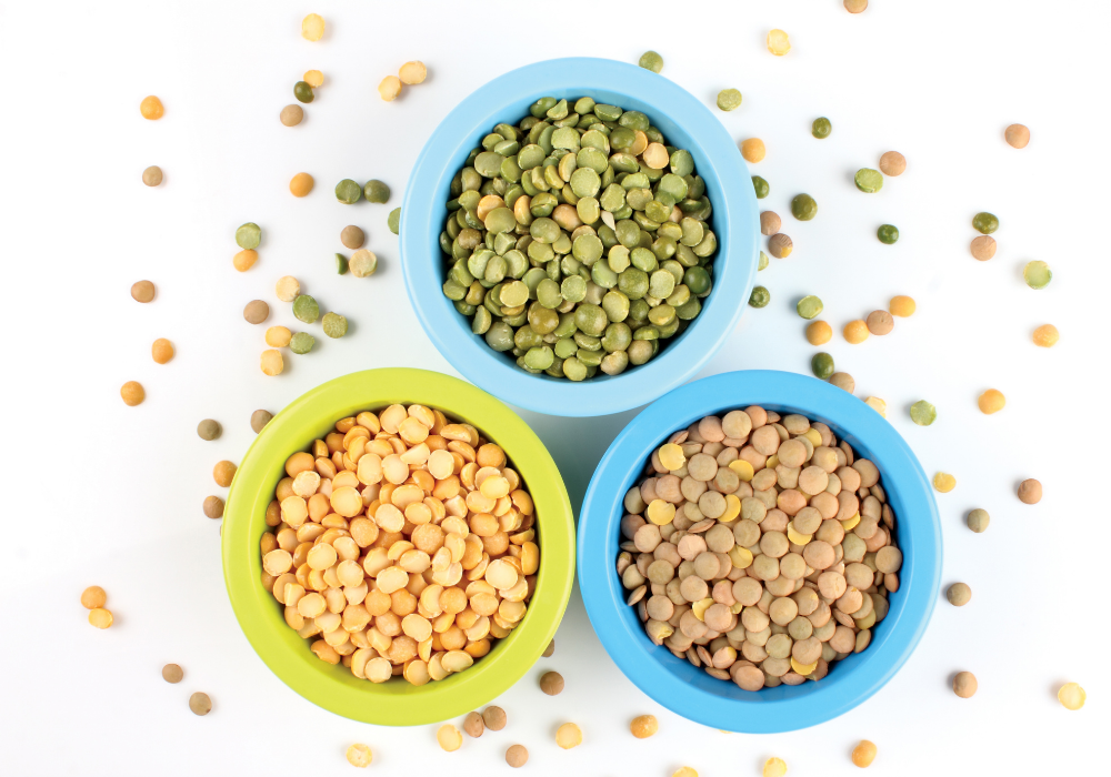 This image shows three different kinds of lentils in bowls. Lentils are a main ingredient to make lentil walnut meat, a plant-based meat alternative.