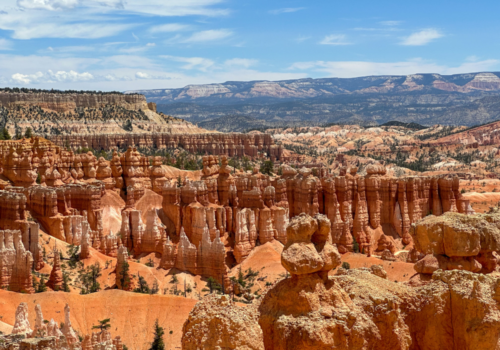 Image from our plant-based camping trip taken in Bryce Canyon National Park. Image shows red rock hoodoos against a blue sky.