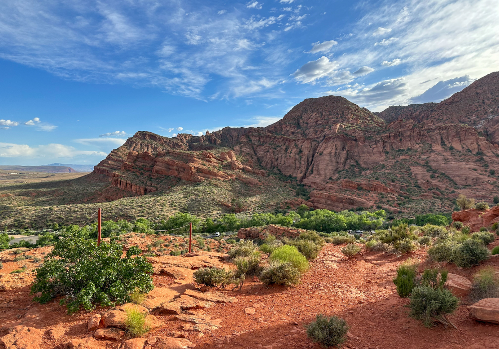 Image from our plant-based camping trip taken in Red Cliffs, Utah. Image shows red earth, small green shrubs, and large red rock cliffs in the background against a blue sky.